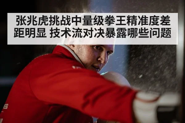 张兆虎挑战中量级拳王精准度差距明显 技术流对决暴露哪些问题 - kaiyun